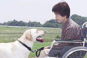 田町でおすすめな女性のためのクリニック