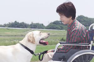 江東区にある人気の精神科について